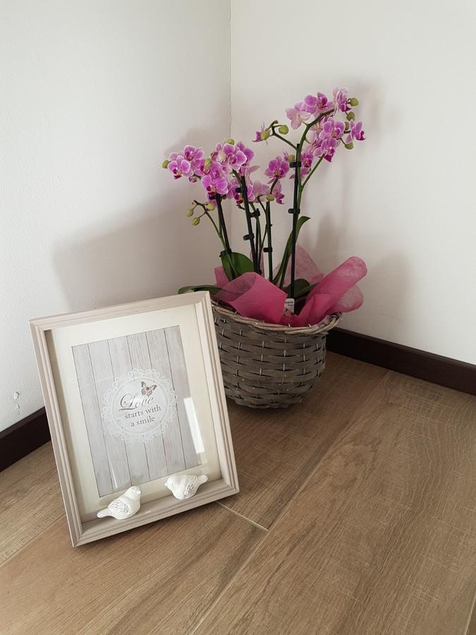 Masetto Egidio Eco-Agritur Villa Strigno Kültér fotó