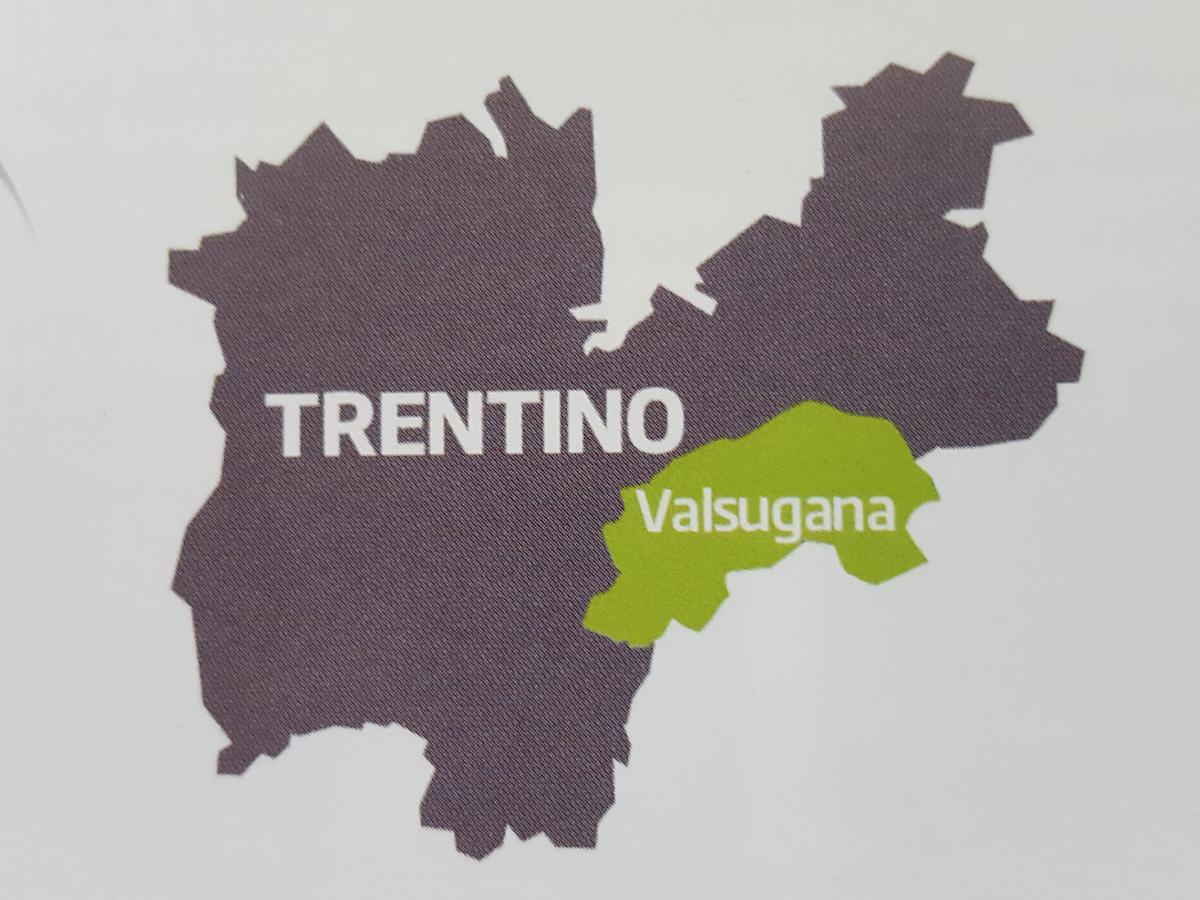 Masetto Egidio Eco-Agritur Villa Strigno Kültér fotó